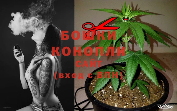 экстази Михайлов