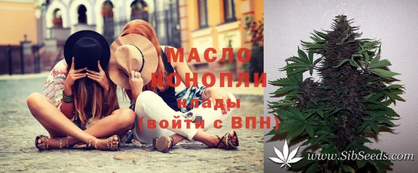 молекула духа Михайловск