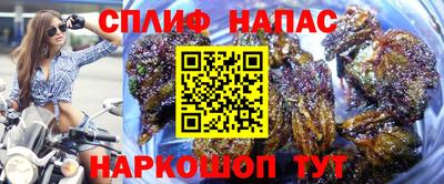 прущие крисы Аргун