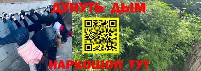 гидра Апрелевка