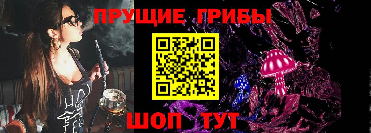 Галлюциногенные грибы Cubensis Бийск