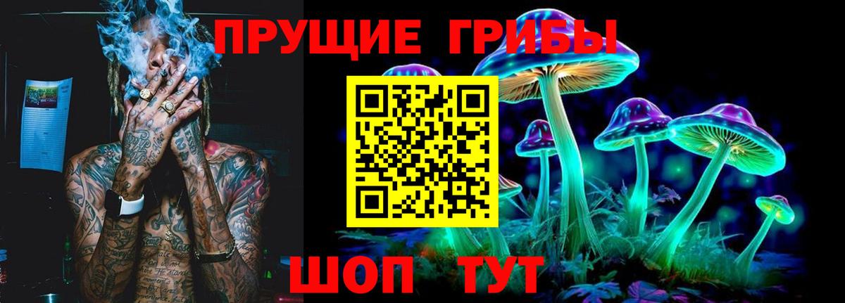 Галлюциногенные грибы Psilocybe  Галлюциногенные грибы Magic Shrooms  Бийск 